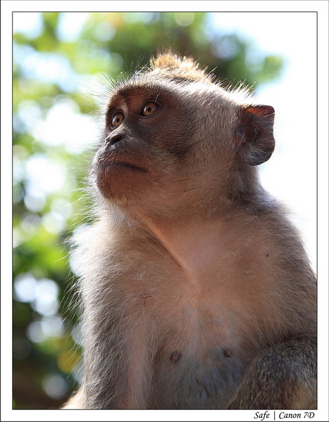 2012 - 07 - Bali - 23